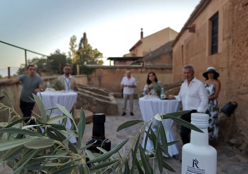 visitar almazara en granada con bus, cata de aceite y guía